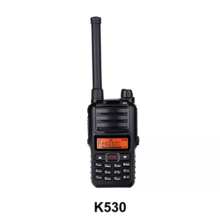 Errepikagailu garraiagarria